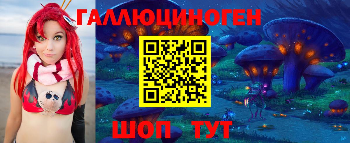 Сальск  как найти наркотики  Вход с VPN  Галлюциногенные грибы мухоморы  Галлюциногенные грибы GOLDEN TEACHER 